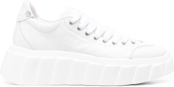 AGL Blondie Ties leather sneakers White