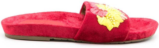 Amir Slama embroidered slides