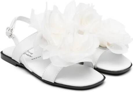 Andrea Montelpare floral-appliqué leather sandals White