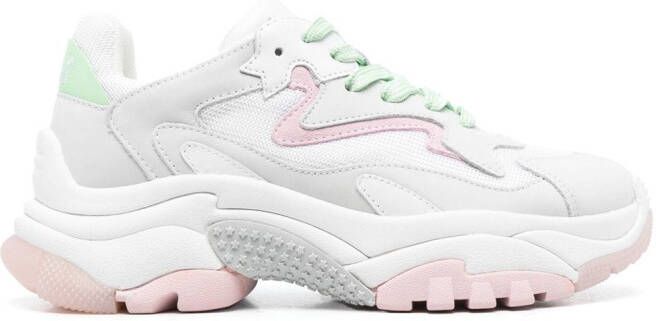 Ash Addict low-top sneakers Grey