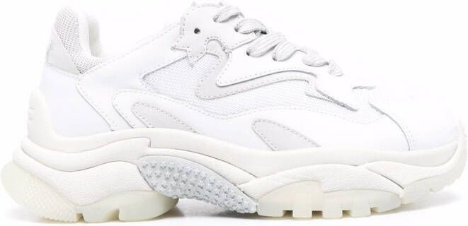 Ash Addict low-top sneakers White