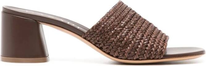Casadei Hanoi 60mm woven mules Brown