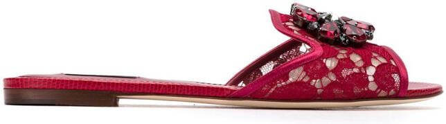 Dolce & Gabbana Rainbow Lace brooch-detail sandals Red