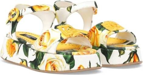 Dolce & Gabbana Kids rose-print cotton sandals White