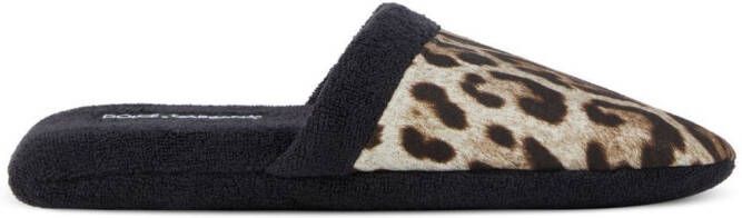 Dolce & Gabbana leopard-print terry slippers Black