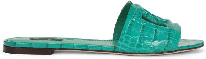 Dolce & Gabbana DG Millennials leather sandals Green