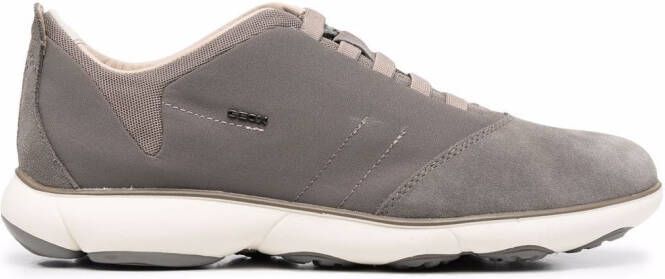 Geox Nebula low top sneakers Grey