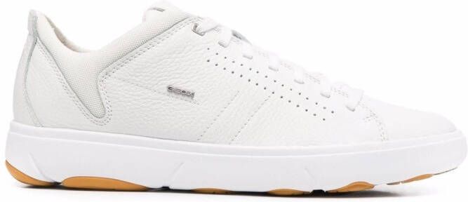 Geox Nebula low-top sneakers White