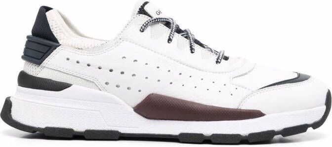 Geox Regale low top sneakers White