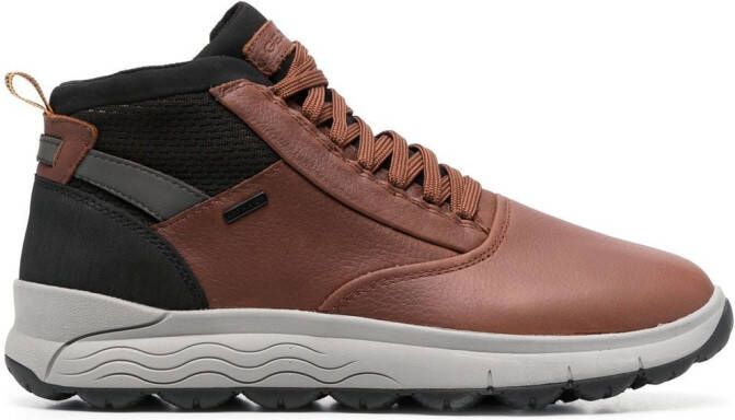 Geox Spherica 4X4 high-top sneakers Brown