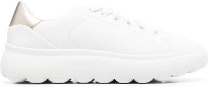 Geox Spherica leather sneakers White