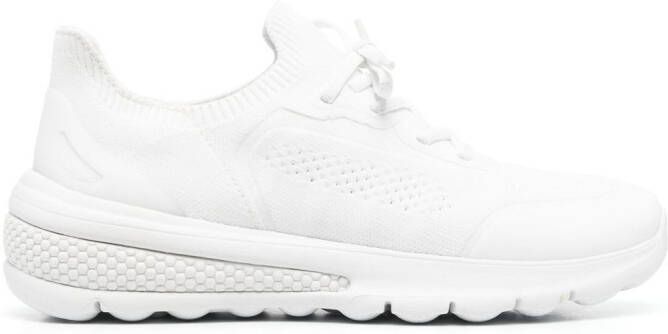 Geox Spherica low-top sneakers White