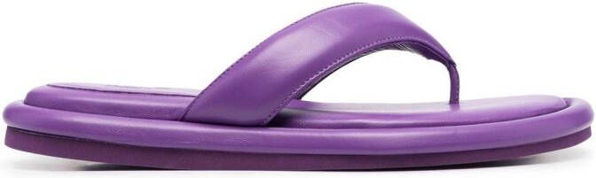 GIABORGHINI Gia 5 thong-strap sandals Purple