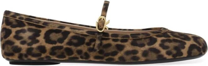 Gianvito Rossi Carla leopard-pattern ballerina shoes Brown