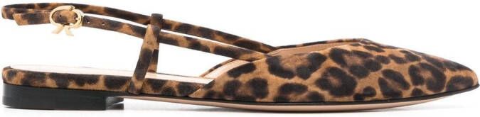 Gianvito Rossi leopard-print pointed pumps Brown