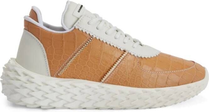 Giuseppe Zanotti Urchin sneakers Brown