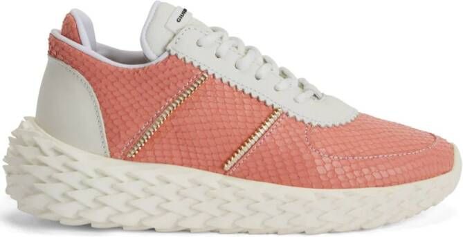 Giuseppe Zanotti Urchin sneakers Orange