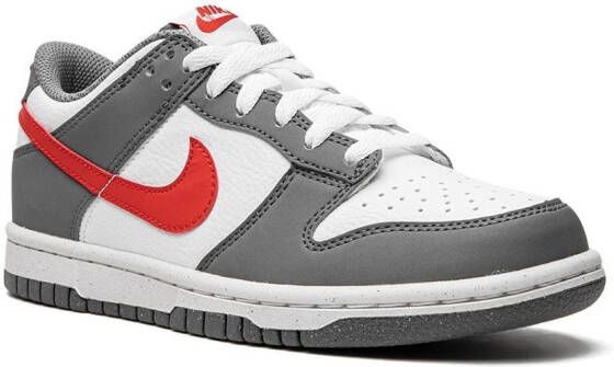 Nike Kids Dunk Low Next Nature "Smoke Grey" sneakers