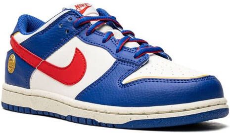 Nike Kids Dunk Low Next Nature "Superhero" sneakers Blue