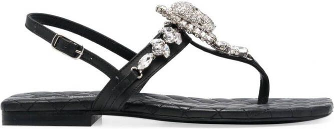 Philipp Plein crystal-skull leather sandals Black