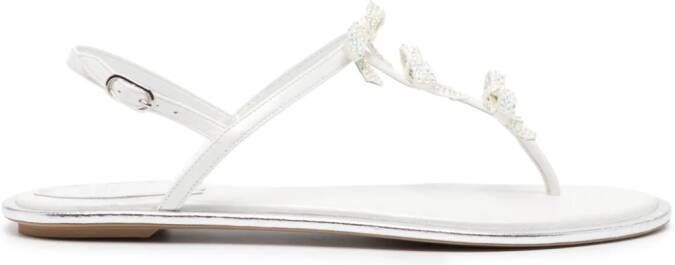 René Caovilla Caterina thong sandals White